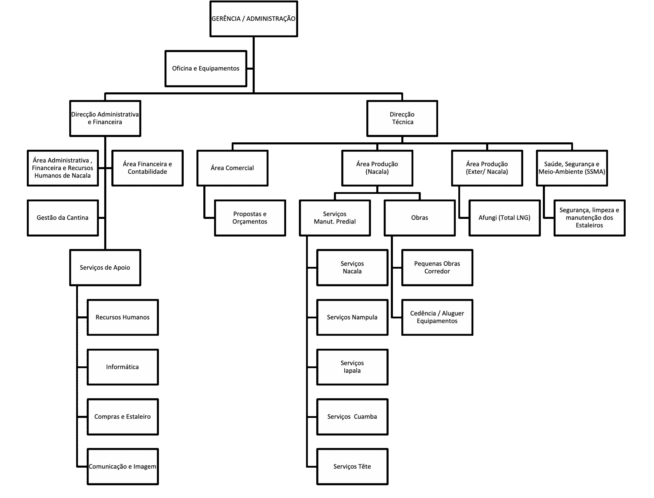 estrutura organizativa 2024